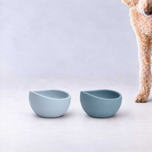 Soft matte silicone dog bowl for quiet food or water feeding