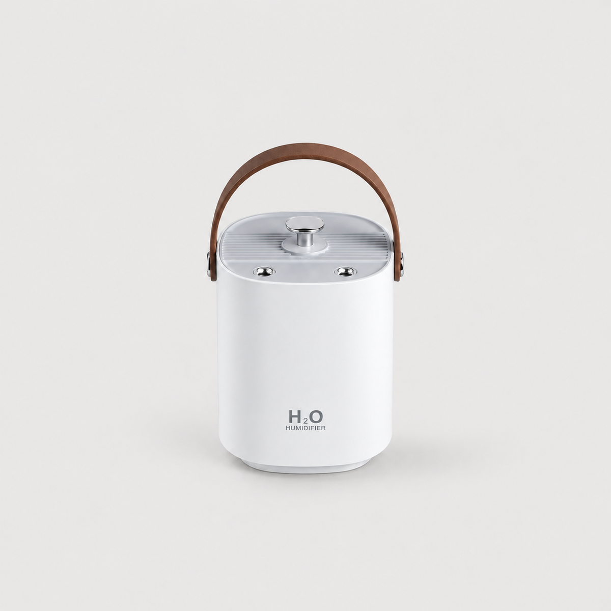 QuietMist rechargeable humidifier providing indoor moisture near a senior dog resting area