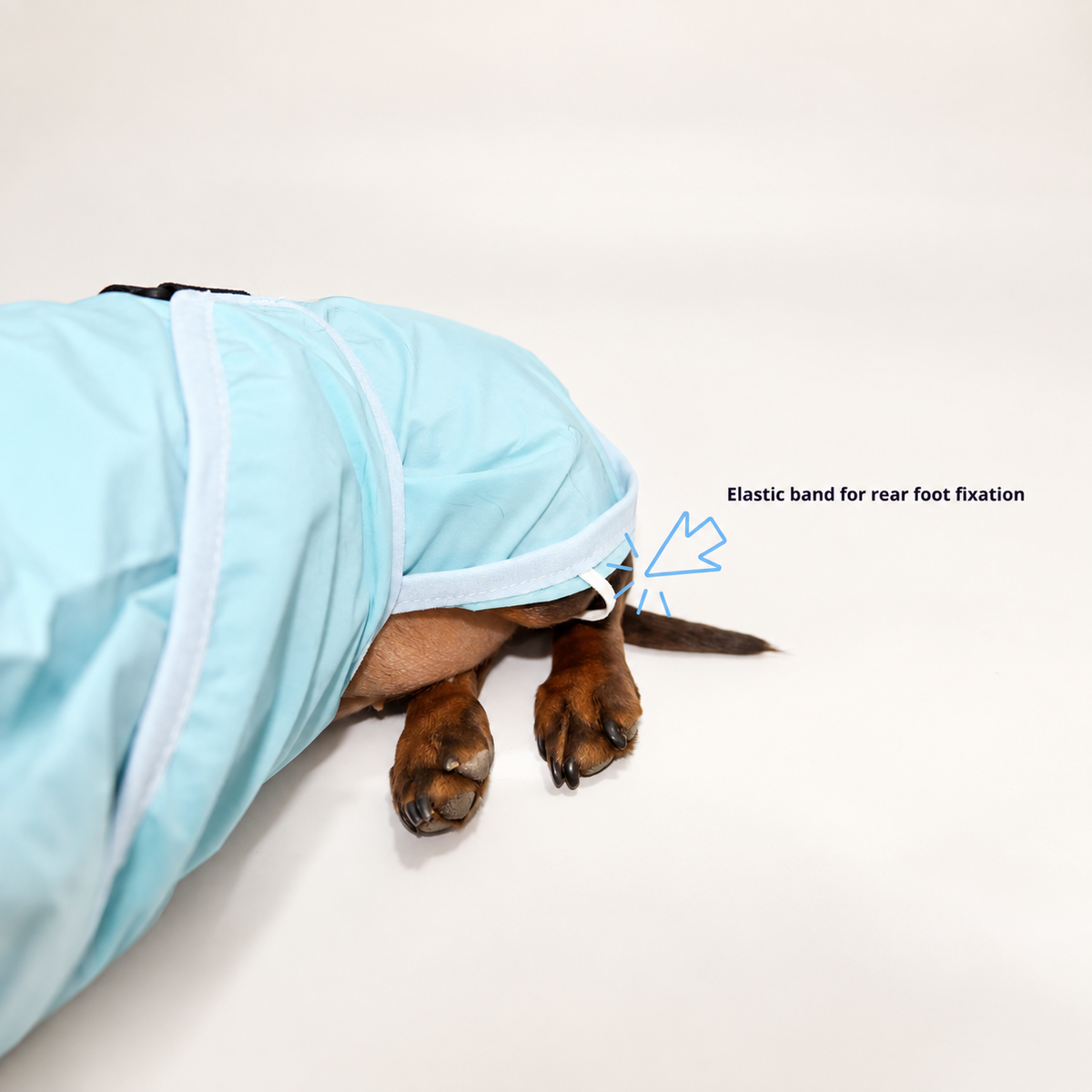 RainCloud waterproof dog raincoat size and fit reference for small dogs, sizes XS to XL