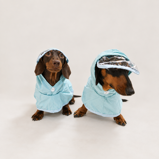 RainCloud hooded waterproof dog raincoat in sky blue for small dogs