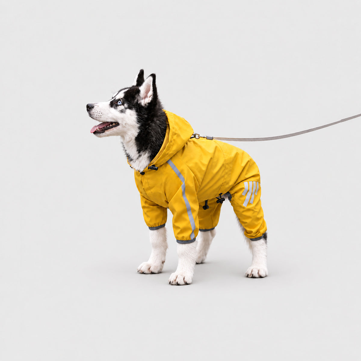 RainGuard reflective hooded waterproof dog raincoat for small and medium dogs