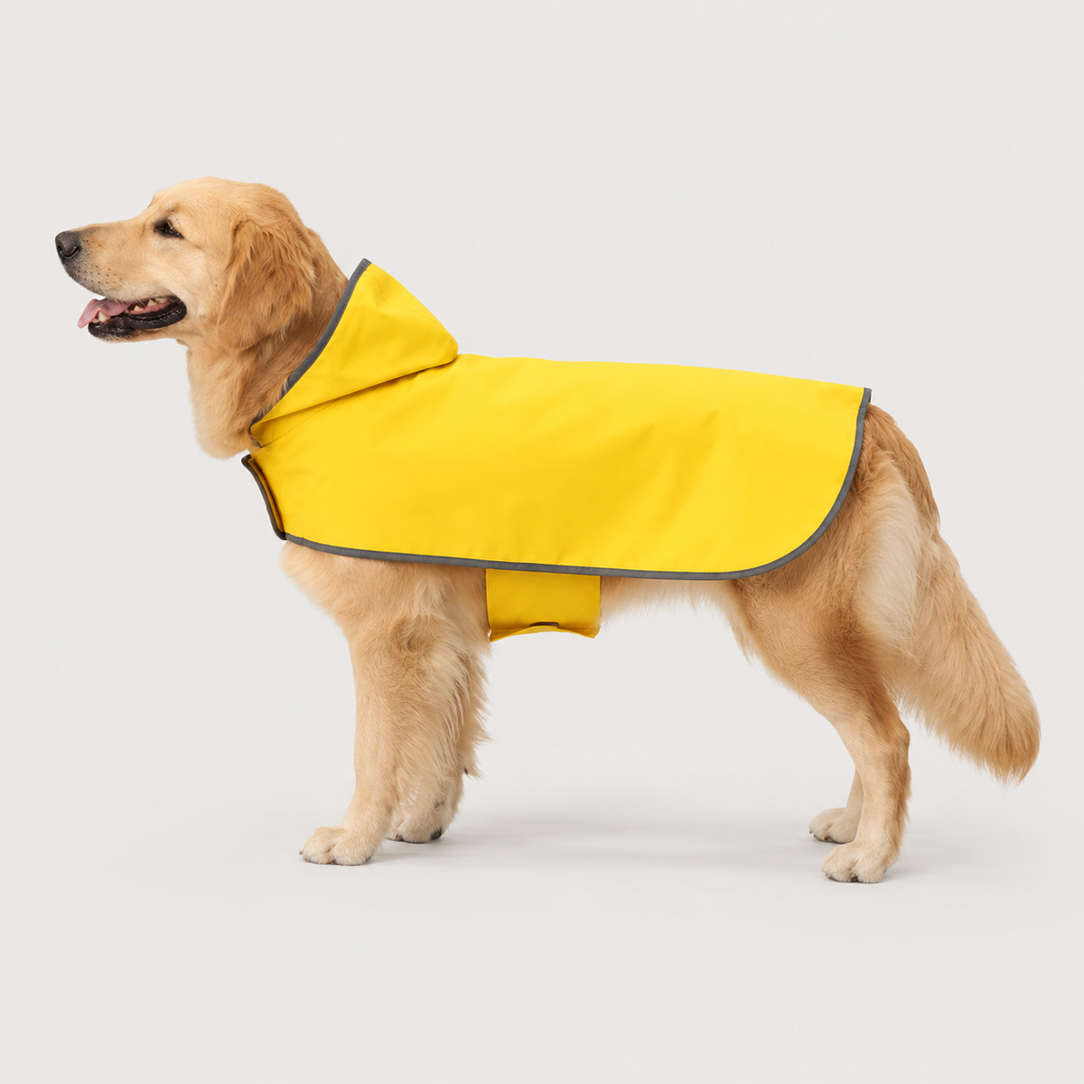 RainShield reversible waterproof dog raincoat