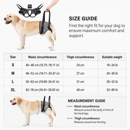 GentleLift rear support dog harness size guide for choosing the correct fit