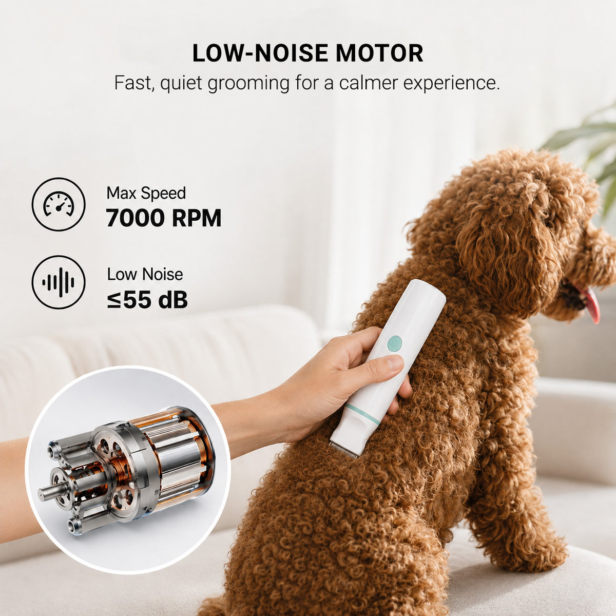 Rechargeable dog grooming kit with multiple tools for routine coat and paw care