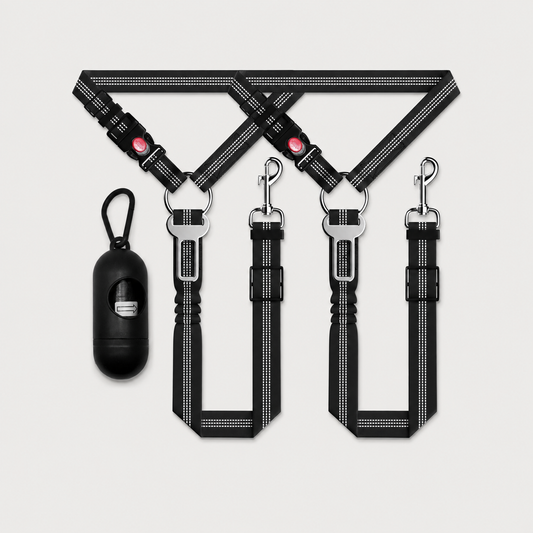 Black SafeRide 3-piece reflective dog car seat belt set with adjustable headrest tethers