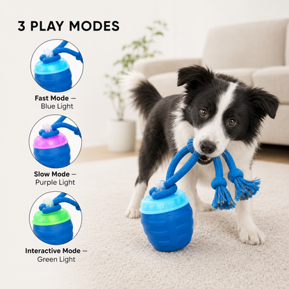 Dog playing with the SmartMotion interactive dog toy in a home lifestyle setting