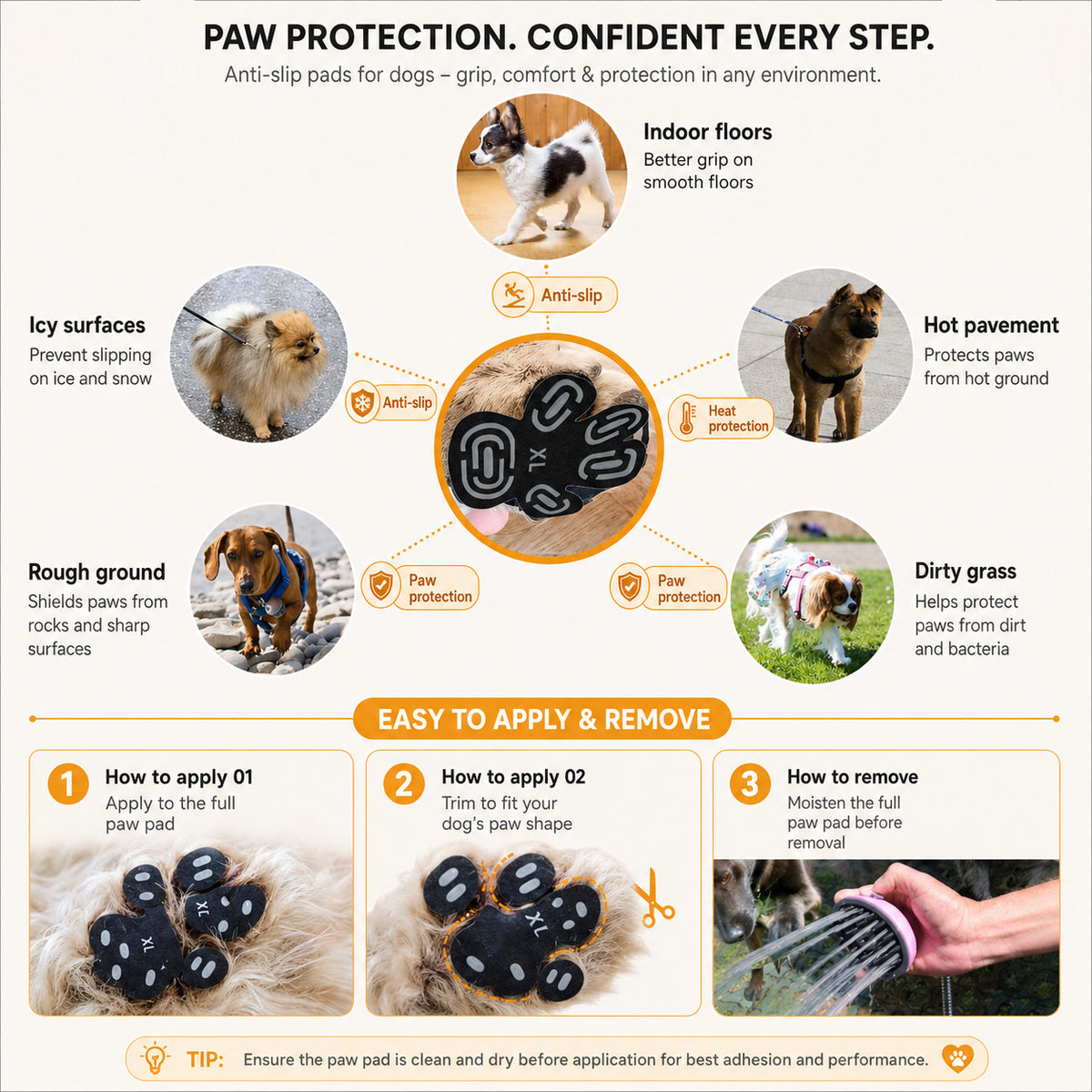 Dog paw fitted with SteadyStep self-adhesive paw grip for traction on smooth floors