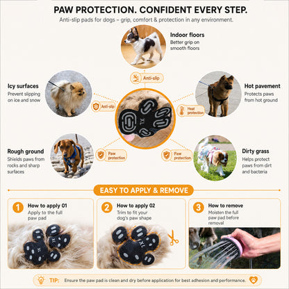 Dog paw fitted with SteadyStep self-adhesive paw grip for traction on smooth floors