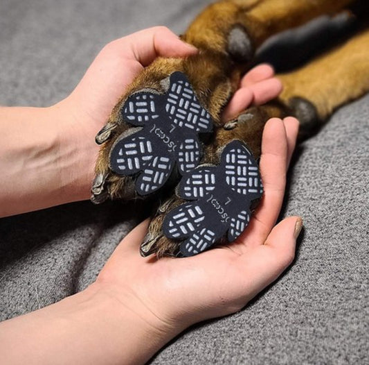 SteadyStep self-adhesive dog paw grips for added traction on smooth indoor floors