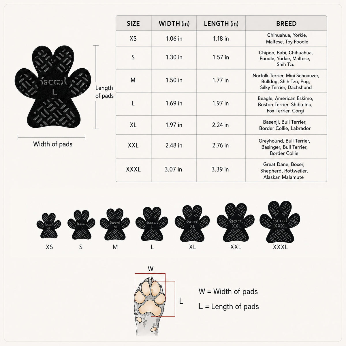 SteadyStep dog paw grips size guide with paw width and length measurements and breed examples from XS to XXXL