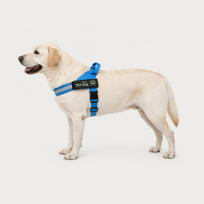 Dog wearing the black SteadySupport reflective senior dog walking harness