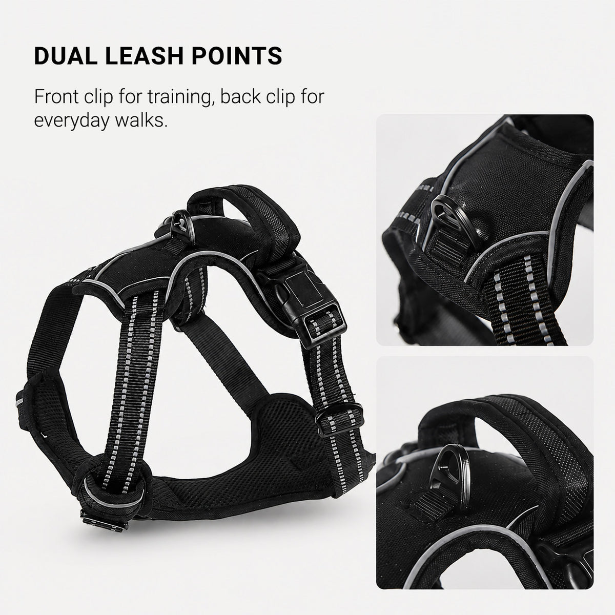 Back leash attachment point on the SteadyWalk reflective dog harness for everyday walking