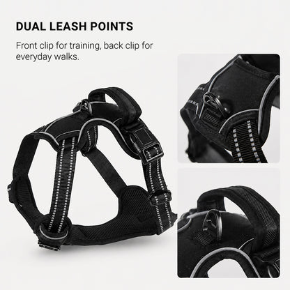 Back leash attachment point on the SteadyWalk reflective dog harness for everyday walking
