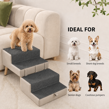 Small senior dog using StepNest stairs for easier access to elevated furniture