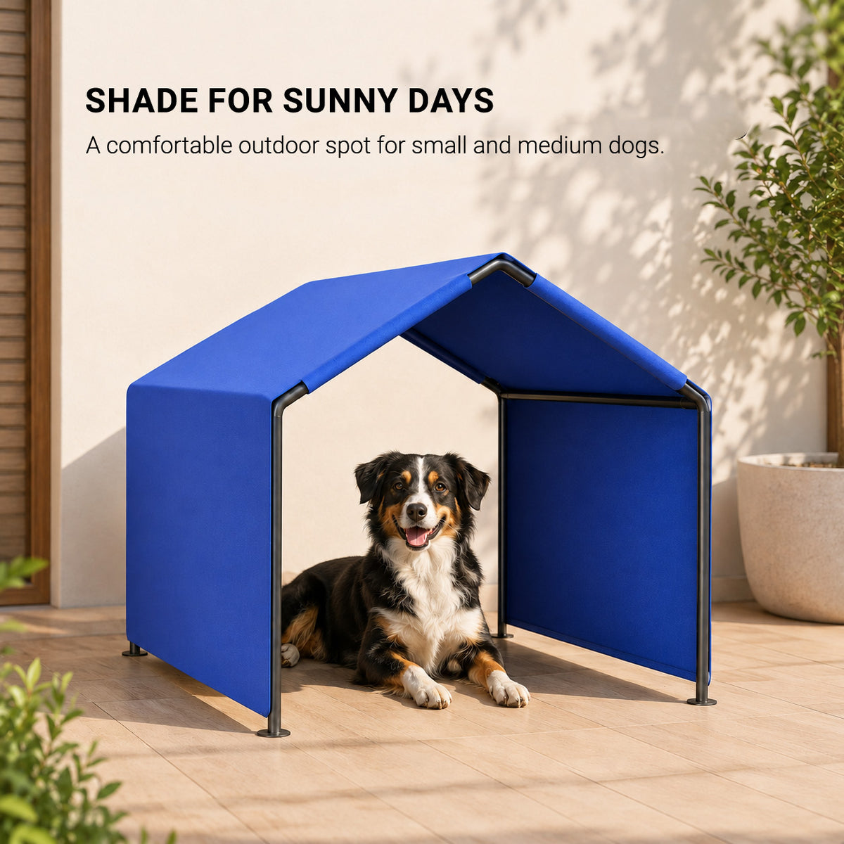 Dog relaxing in SunHaven portable outdoor shade shelter in a backyard