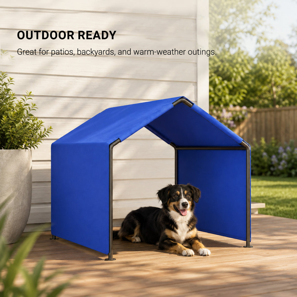 Dog relaxing in SunHaven portable outdoor shade shelter in a backyard