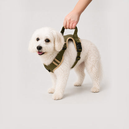 SureStep padded senior dog support harness with top control handle for mobility support