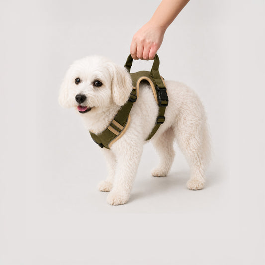 SureStep padded senior dog support harness with top control handle for mobility support