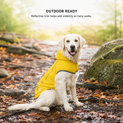 Dog wearing yellow waterproof raincoat during an outdoor walk